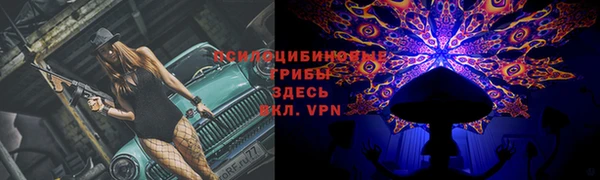 гашик Бугульма