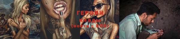 индика Бородино